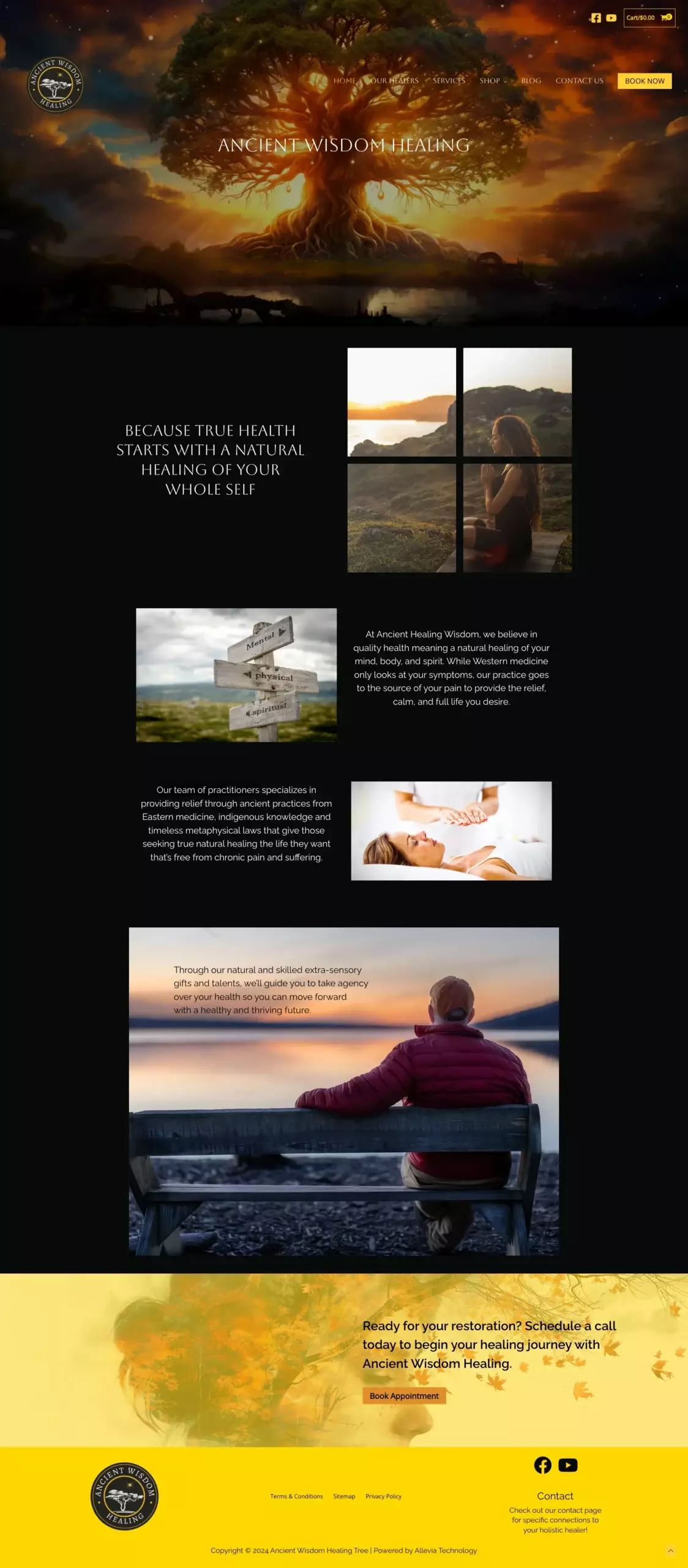 Web Design 2 screencapture wisdomhealingtree 2024 08 14 15 01 42 scaled