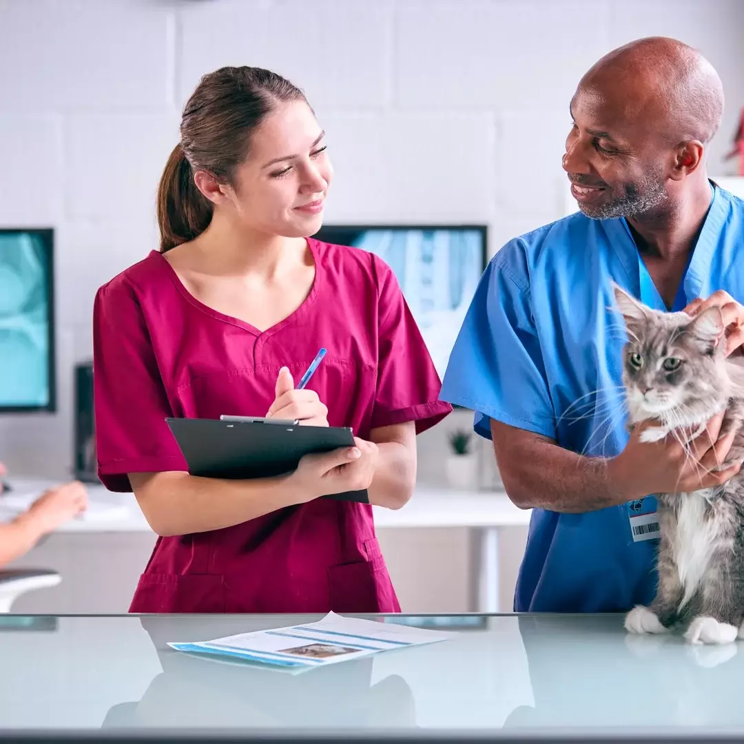 male-vet-and-female-trainee-veterinary-nurse-exami-2024-10-21-22-03-51-utc (1) male-vet-and-female-trainee-veterinary-nurse-exami-2024-10-21-22-03-51-utc (1)